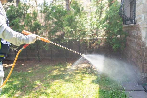 Best Pest Prevention Services  in Cheswold, DE